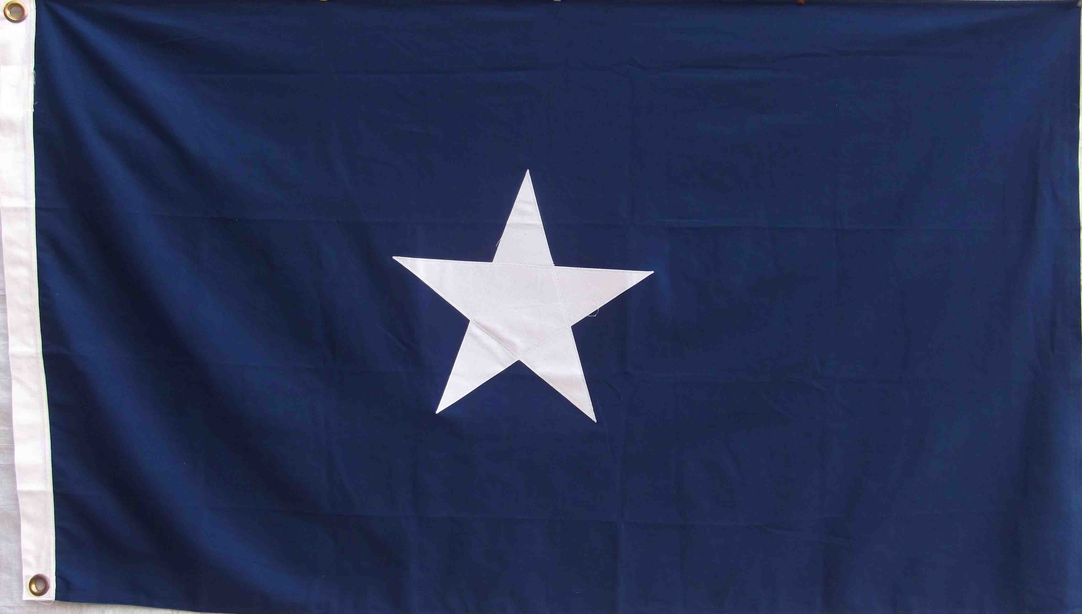 Bonnie blu. Флаг Bonnie Blue. Bonny Blue флаг. Бонни синий флаг. Бонни голубой флаг.
