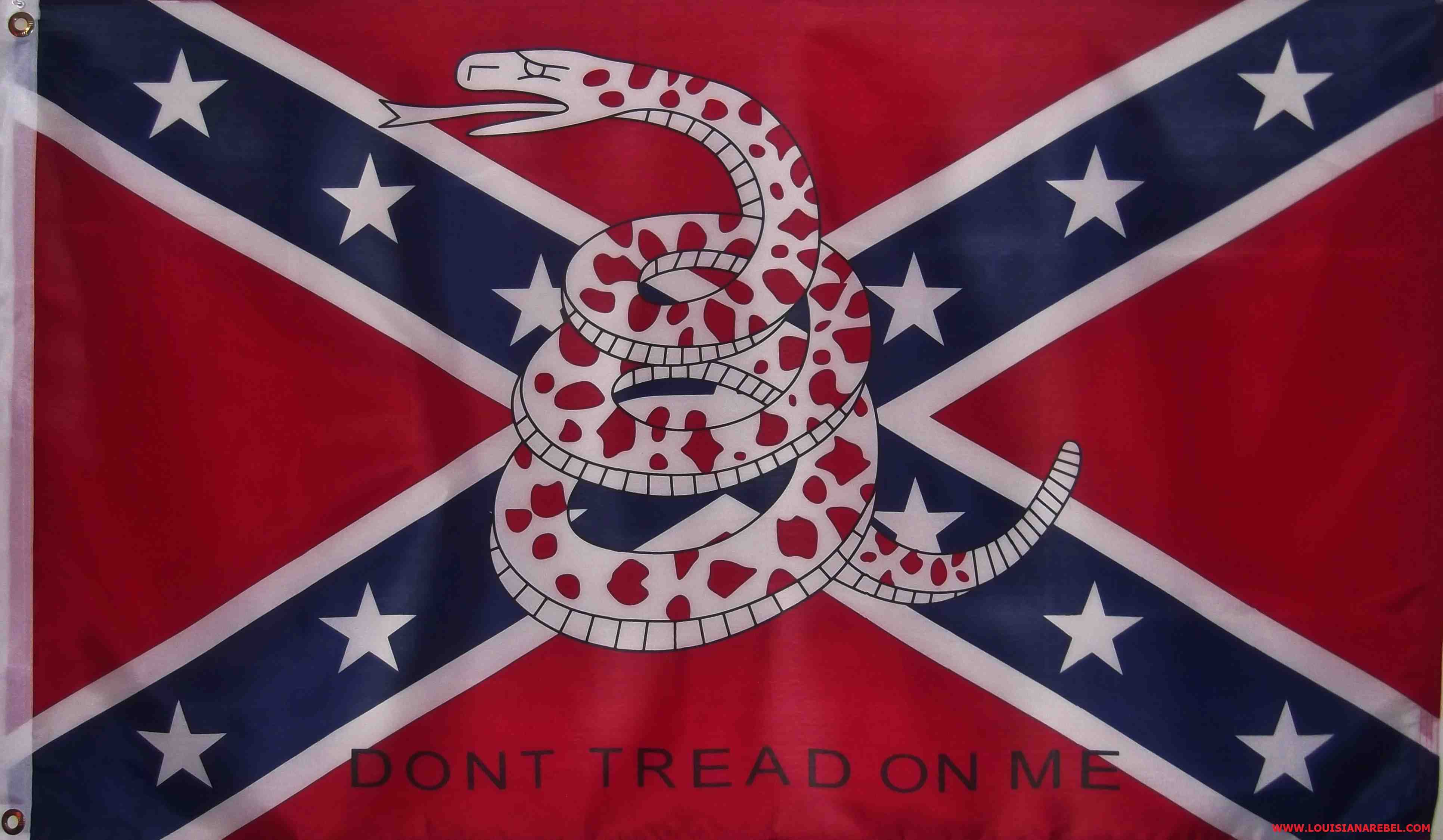 Dont tread on me rebel flag. 